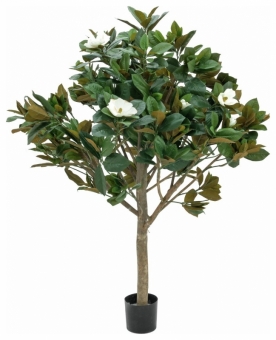 Europalms Magnolienbaum 150cm
