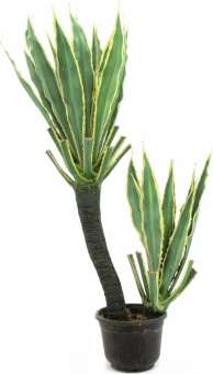 Europalms Orchideen-Kaktus 160cm