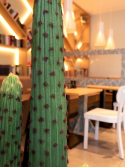 Europalms Mexikanischer Kaktus 117cm