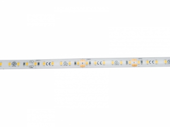 Eurolite LED IP Strip 600 5m 2835 2700K 24V