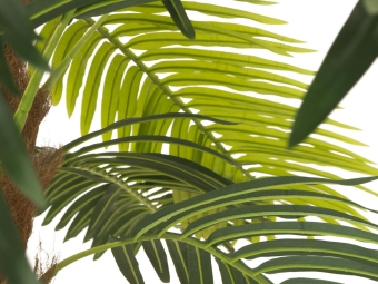 Europalms Phönix Palme deluxe, Kunstpflanze, 250cm