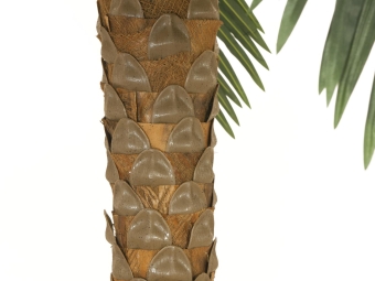 Europalms Phönix Palme deluxe, Kunstpflanze, 250cm