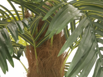 Europalms Phönix Palme deluxe, Kunstpflanze, 250cm