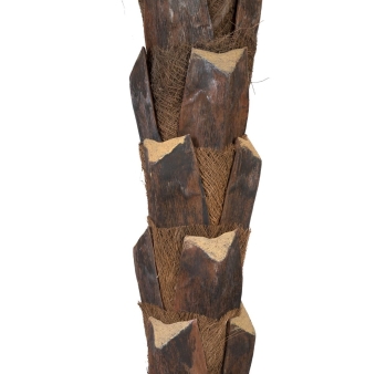 Europalms Kentia Palme deluxe, 300cm