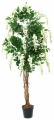 Europalms Goldregenbaum weiß 150cm Europalms Goldregenbaum weiß 150cm