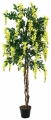 Europalms Goldregenbaum gelb 150cm Europalms Goldregenbaum gelb 150cm