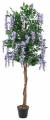 Europalms Goldregenbaum violett 150cm Europalms Goldregenbaum violett 150cm