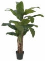 Europalms Bananenbaum 120cm Europalms Bananenbaum 120cm