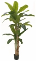 Europalms Bananenbaum 240cm Europalms Bananenbaum 240cm