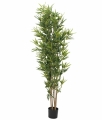 Europalms Bambus deluxe 180cm