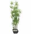 Europalms Zierbambus in Dekoschale 120cm Europalms Zierbambus in Dekoschale 120cm