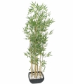 Europalms Zierbambus in Dekoschale 150cm Europalms Zierbambus in Dekoschale 150cm