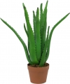 Europalms Aloe-Vera-Pflanze 63cm Europalms Aloe-Vera-Pflanze 63cm