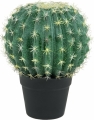 Europalms Kugelkaktus 34cm Europalms Kugelkaktus 34cm