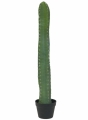 Europalms Mexikanischer Kaktus 97cm
