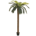 Europalms Phönix Palme deluxe, Kunstpflanze, 250cm Europalms Phönix Palme deluxe, Kunstpflanze, 250cm