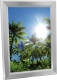 Europalms ReWa A2