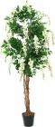 Europalms Goldregenbaum weiß 180cm