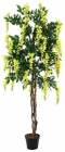 Europalms Goldregenbaum gelb 180cm