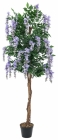 Europalms Goldregenbaum violett 150cm