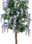 Europalms Goldregenbaum violett 150cm
