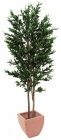 Europalms Olivenbaum 250cm, 2-stämmig