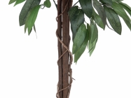 Europalms Mango 150cm