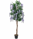 Europalms Goldregenbaum violett 180cm