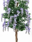 Europalms Goldregenbaum violett 180cm