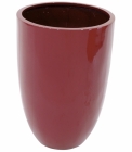 Europalms Leichtsin CUP-69 rot