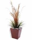 Europalms Leichtsin Basic-50 rot