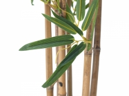 Europalms Bambus deluxe 120cm
