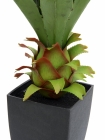 Europalms Agave im Topf 75cm