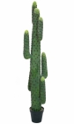 Europalms Mexikanischer Kaktus 173cm