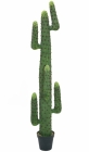 Europalms Mexikanischer Kaktus 173cm