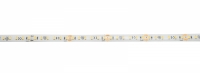 Eurolite LED IP Strip 600 5m 2835 4000K 24V