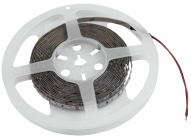 Eurolite LED Strip 300 5m 3528 5700K 12V