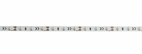 Eurolite LED Strip 300 5m 3528 5700K 12V